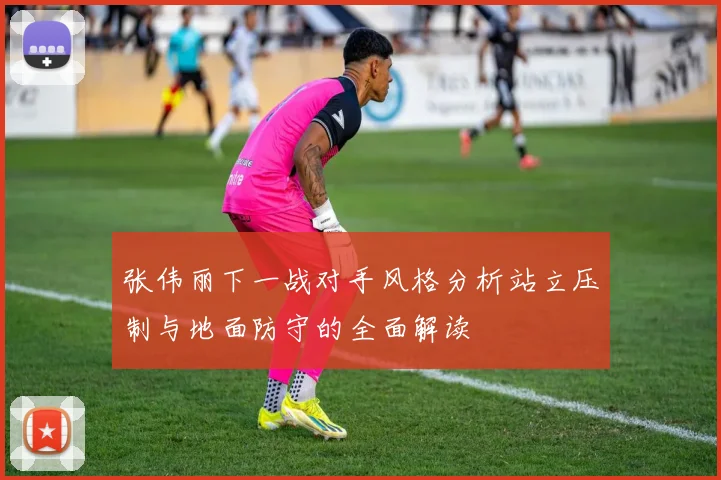张伟丽下一战对手风格分析站立压制与地面防守的全面解读