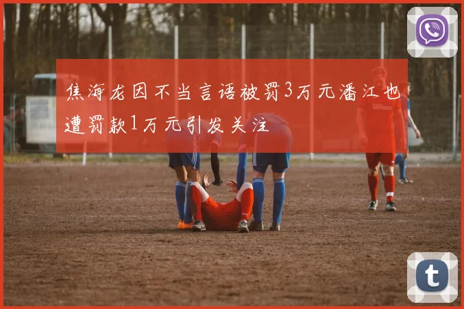 焦海龙因不当言语被罚3万元潘江也遭罚款1万元引发关注
